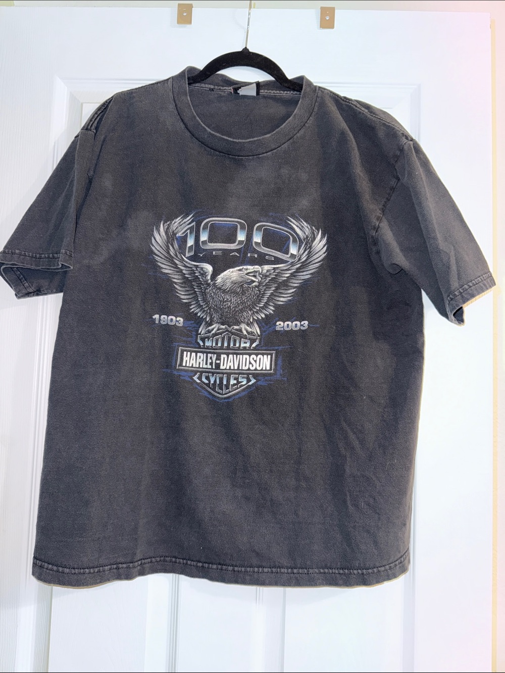 Harley-Davidson Black Eagle 100th Anniversary Graphic Tee